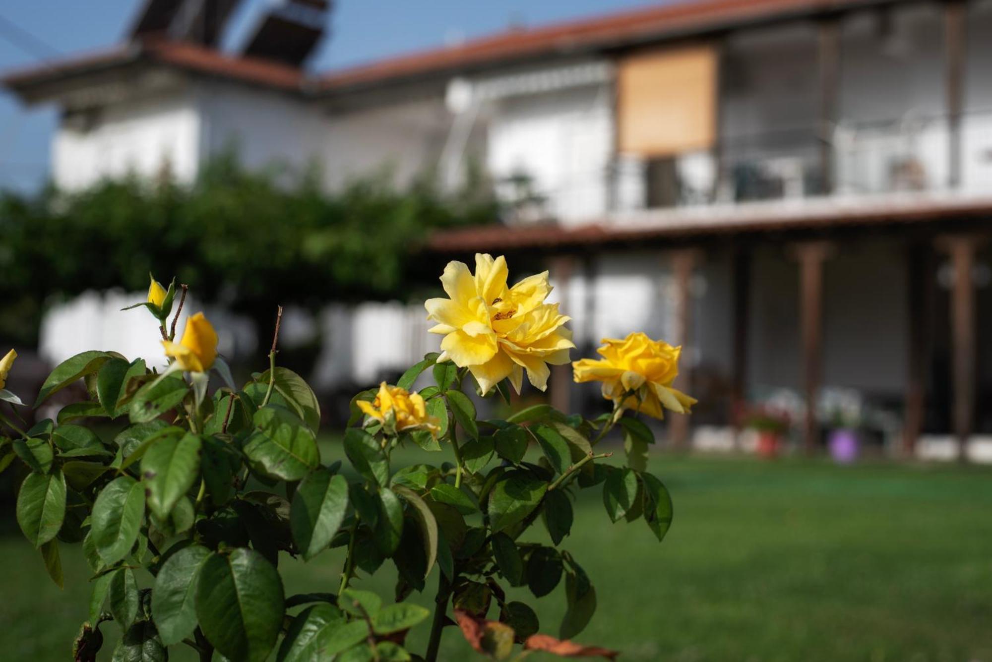 Marilena Apartments Anastasiou Velika  Bagian luar foto